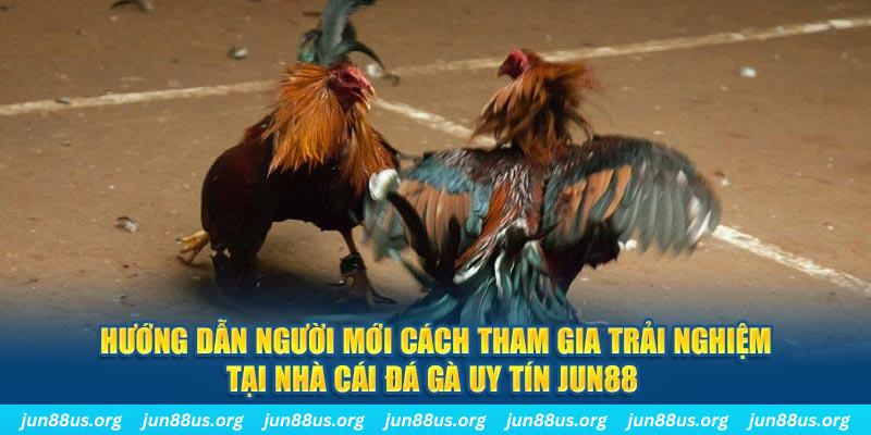 uk 88 loi game dot kich ket noi may chu that bai