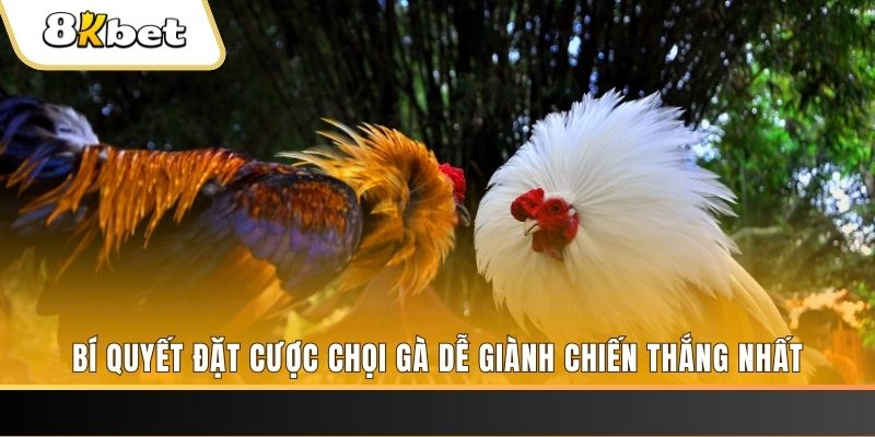 uk 88 xổ số thứ hai hàng tuần