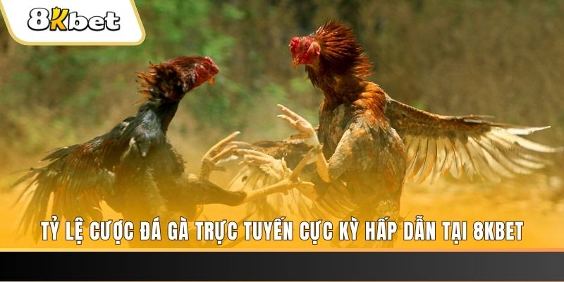 uk 88 baccarat online bịp như thế nào