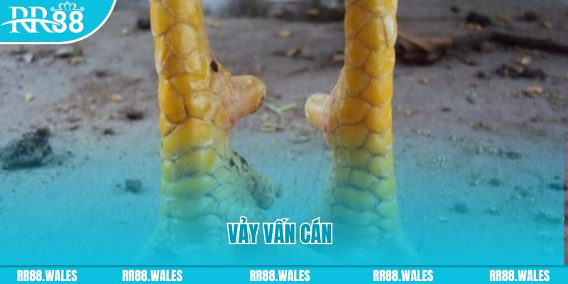 uk 88 đăng nhập nổ hũ hôm nay